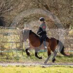 Alfsengi_maart_0M8A8829