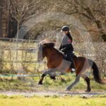 Alfsengi_maart_0M8A8830