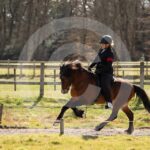Alfsengi_maart_0M8A8832