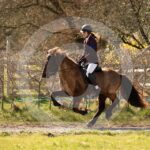 Alfsengi_maart_0M8A8835
