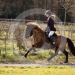 Alfsengi_maart_0M8A8841