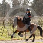 Alfsengi_maart_0M8A8866