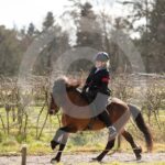 Alfsengi_maart_0M8A8867