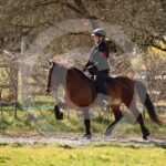 Alfsengi_maart_0M8A8879