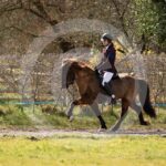 Alfsengi_maart_0M8A8898