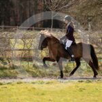 Alfsengi_maart_0M8A8905