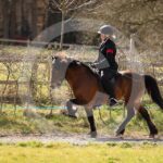 Alfsengi_maart_0M8A8917