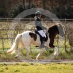 Alfsengi_maart_0M8A8935