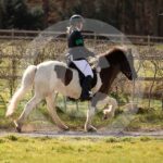 Alfsengi_maart_0M8A8937