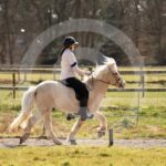 Alfsengi_maart_0M8A8943