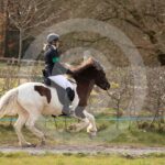 Alfsengi_maart_0M8A8954