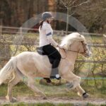 Alfsengi_maart_0M8A8956
