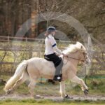Alfsengi_maart_0M8A8957