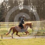 Alfsengi_maart_0M8A8962