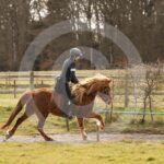 Alfsengi_maart_0M8A8963