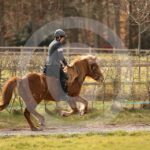 Alfsengi_maart_0M8A8968