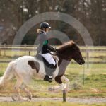 Alfsengi_maart_0M8A8974