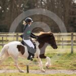 Alfsengi_maart_0M8A8975