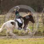 Alfsengi_maart_0M8A8978