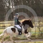 Alfsengi_maart_0M8A9004