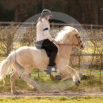 Alfsengi_maart_0M8A9013