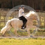 Alfsengi_maart_0M8A9014