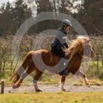 Alfsengi_maart_0M8A9015