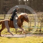 Alfsengi_maart_0M8A9019