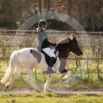 Alfsengi_maart_0M8A9028