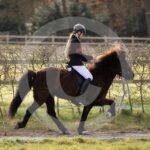 Alfsengi_maart_0M8A9031