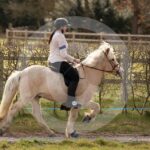 Alfsengi_maart_0M8A9040