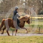 Alfsengi_maart_0M8A9048