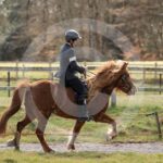 Alfsengi_maart_0M8A9052
