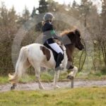 Alfsengi_maart_0M8A9055