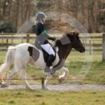 Alfsengi_maart_0M8A9057