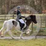 Alfsengi_maart_0M8A9062
