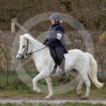 Alfsengi_maart_0M8A9078