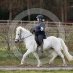 Alfsengi_maart_0M8A9081