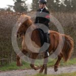 Alfsengi_maart_0M8A9099
