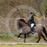 Alfsengi_maart_0M8A9110