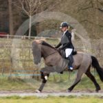 Alfsengi_maart_0M8A9114