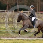Alfsengi_maart_0M8A9118