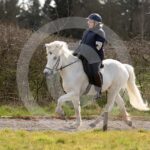 Alfsengi_maart_0M8A9137