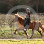 Alfsengi_maart_0M8A9147