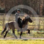 Alfsengi_maart_0M8A9182
