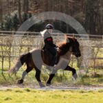 Alfsengi_maart_0M8A9201