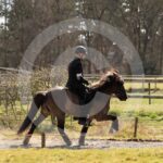 Alfsengi_maart_0M8A9206