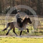 Alfsengi_maart_0M8A9209