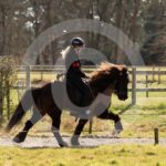 Alfsengi_maart_0M8A9213