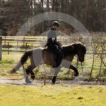 Alfsengi_maart_0M8A9228